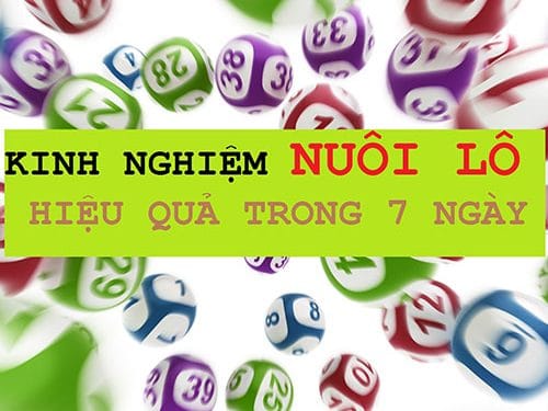 Kinh nghiệm nuôi lô trong 7 ngày